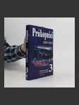 Příběh americké cesty ke svobodě. 3, Průkopníci (3. díl) - náhled