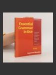 Essential Grammar in Use. A Self-Study Reference and Practise Book for Elementary Students of English. With Answers - náhled