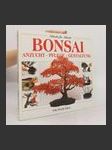 Bonsai - náhled