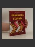 Gramatika a slovník - náhled