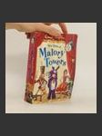 New Girls at Malory Towers - náhled