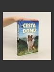 Cesta domů - náhled