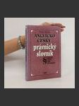 Anglicko-český právnický slovník = English-Czech law dictionary - náhled