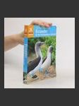 The Rough Guide to Ecuador & the Galapagos Islands - náhled