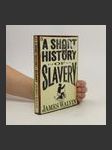 A Short History of Slavery - náhled