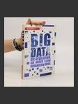 Big Data - náhled
