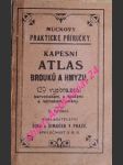 Kapesní atlas brouků a hmyzu - náhled