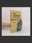 Lokální a regionální kultura v České republice. Kulturní prostor, kulturní politika a kulturní dědictví - náhled