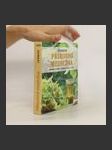 Přírodní medicína: obsahové látky, léčebné účinky, užití - náhled