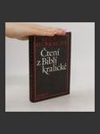 Čtení z Biblí kralické - náhled