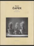 Karel Čapek fotograf - náhled