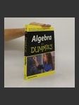 Algebra für Dummies - náhled