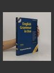 English Grammar in Use: with Answers - náhled