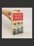 Pražská okénka : křivolaké putování Prahou - náhled