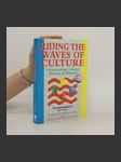 Riding the Waves of Culture. Understanding Cultural Diversity in Business - náhled