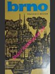Brno - průvodce městem - david vladislav / gerža františek / pavlík karel / riedl dušan / říhová jarmila / samek bohumil - náhled