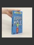 The secret diary of Adrian Mole aged 13 3/4 - náhled