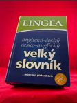 Anglicko-český česko-anglický velký slvoník - náhled