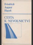 Cesta k nevolnictví - náhled