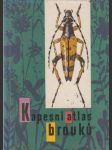 Kapesní atlas brouků: s určovacím klíčem vyobrazených druhů - náhled