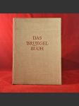 Das Bruegel Buch - náhled