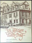 Ich spaziere durch Prag... - náhled