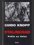 Stalingrad - Peklo na volze - náhled