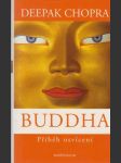 Buddha: Příběh osvícení - náhled