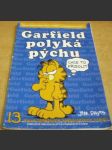 Garfield polyká pýchu - náhled