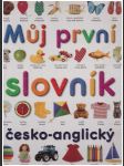 Můj první slovník česko-anglický - náhled