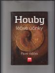 Houby a jejich léčivé účinky - náhled