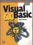 Visual Basic 6.0. Učebnice pro střední školy - náhled