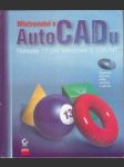 Mistrovství v AutoCADu. Release 13 pro Windows 3.1/95/NT - náhled