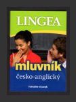 Česko-anglický mluvník - náhled