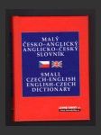 Malý česko-anglický, anglicko-český slovník - náhled