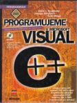 Programujeme v Microsoft Visual - náhled