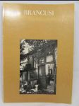 Constantin Brancusi: 1876-1957: A Retrospective Exhibition - náhled