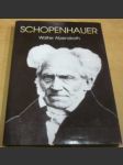 Schopenhauer - náhled