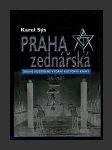 Praha zednářská - náhled