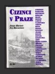 Cizinci v Praze - náhled