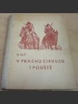 V prachu cirkusu i pouště : Příběh statečného chlapce - náhled