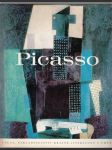 Picasso - náhled