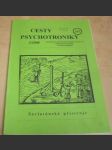 Cesty psychotroniky 2/2008 Ročník - IX Číslo - 28 - náhled