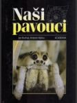 Naši pavouci - náhled