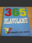 365 hlavolamů - náhled