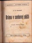 Dráma v snehovej púšti / Liptovská tragédia - náhled