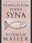 Evangelium podle syna - náhled