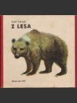 Z lesa - náhled