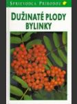 Dužinaté plody, bylinky - náhled