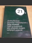 Stíny minaretů: Islám a muslimové jako předmět českých veřejných polemik - náhled